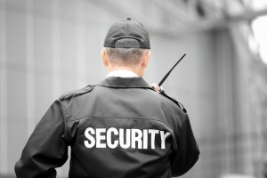 Importance of Security Guards in Schools